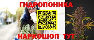 каннабис Гусев