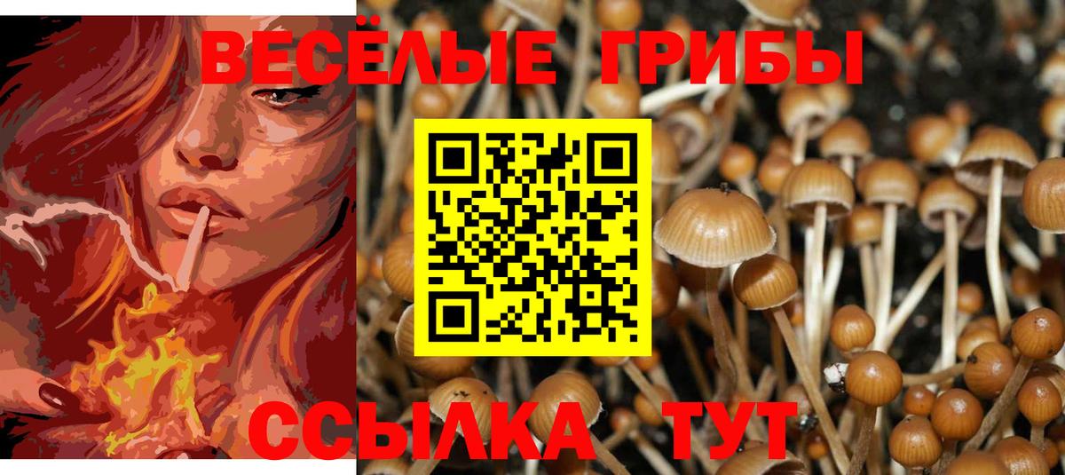 Псилоцибиновые грибы прущие грибы  купить наркоту  Мичуринск  Вход с VPN 