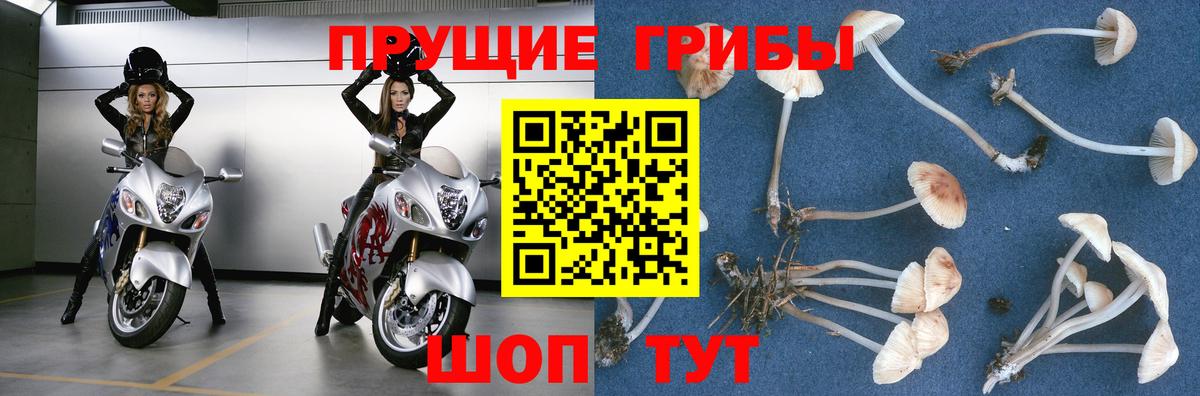 Галлюциногенные грибы GOLDEN TEACHER Мичуринск